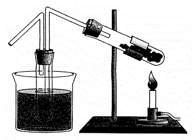 coalgas2.gif (13282 bytes)